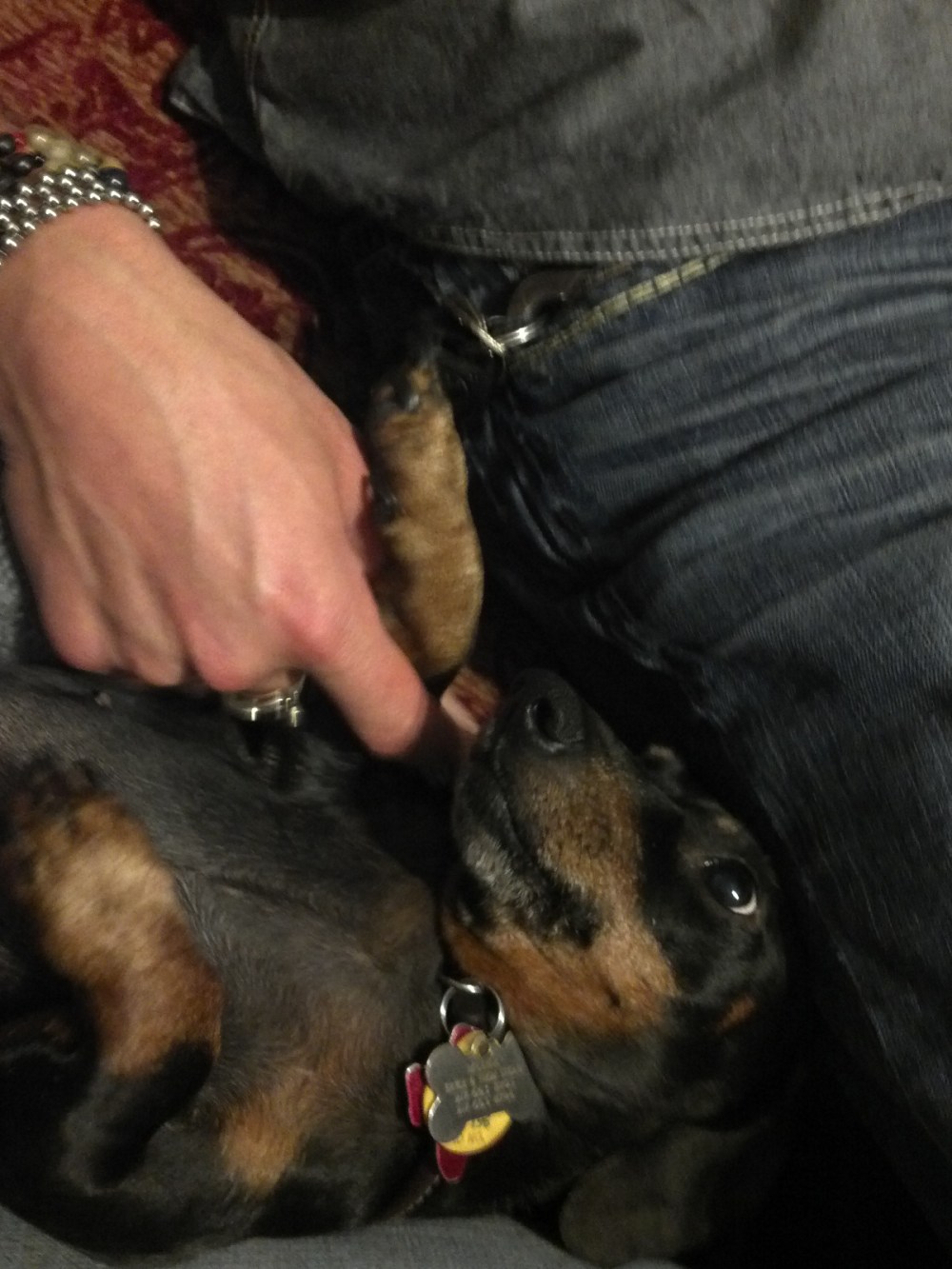 6 pm. Sitting with Thom and Meeka, watching tv. Thom is teaching Meeka to "high five".