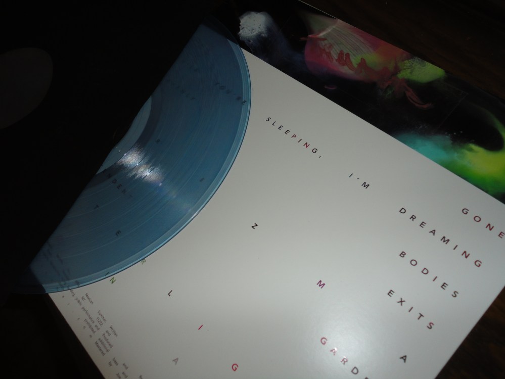 Tamaryn Tender New Signs Blue Vinyl