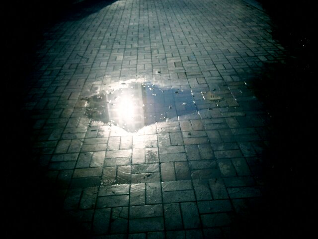 Puddle Reflection