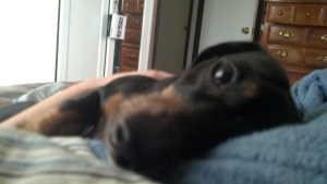 10 AM - Meeka says its time to wake up.