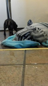 1 pm - The hour in which I learn that four pillows in the washer at once causes an overflow.