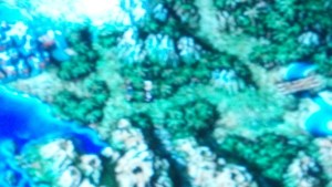 12 am - I play Chrono Cross, which doesn't photograph well in dark rooms from a distance...