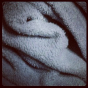 Instagrammed Blanket
