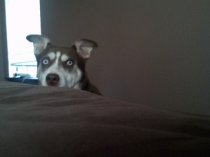 12pm - Echo says its time to wake up. (Don't judge me!)