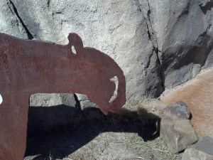 1:30pm - Cheetah shadow.