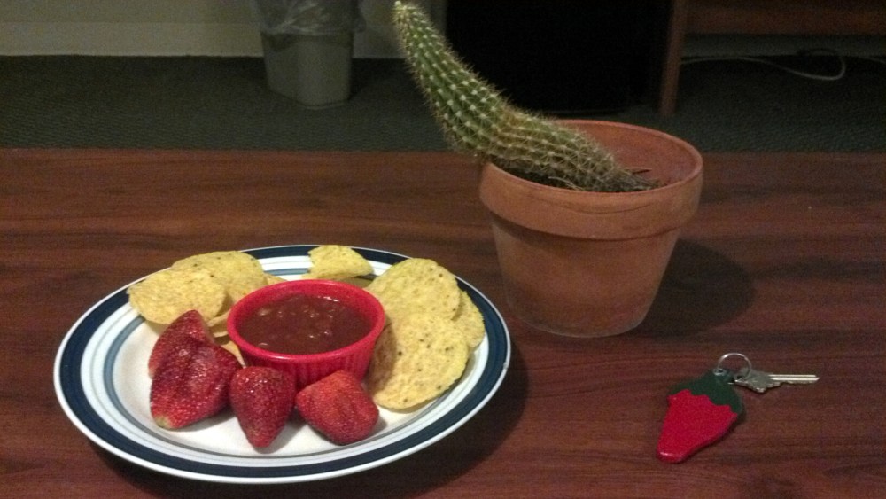 Chips and salsa saved my life that night in Los Cruces. (America's Best Value Inn)