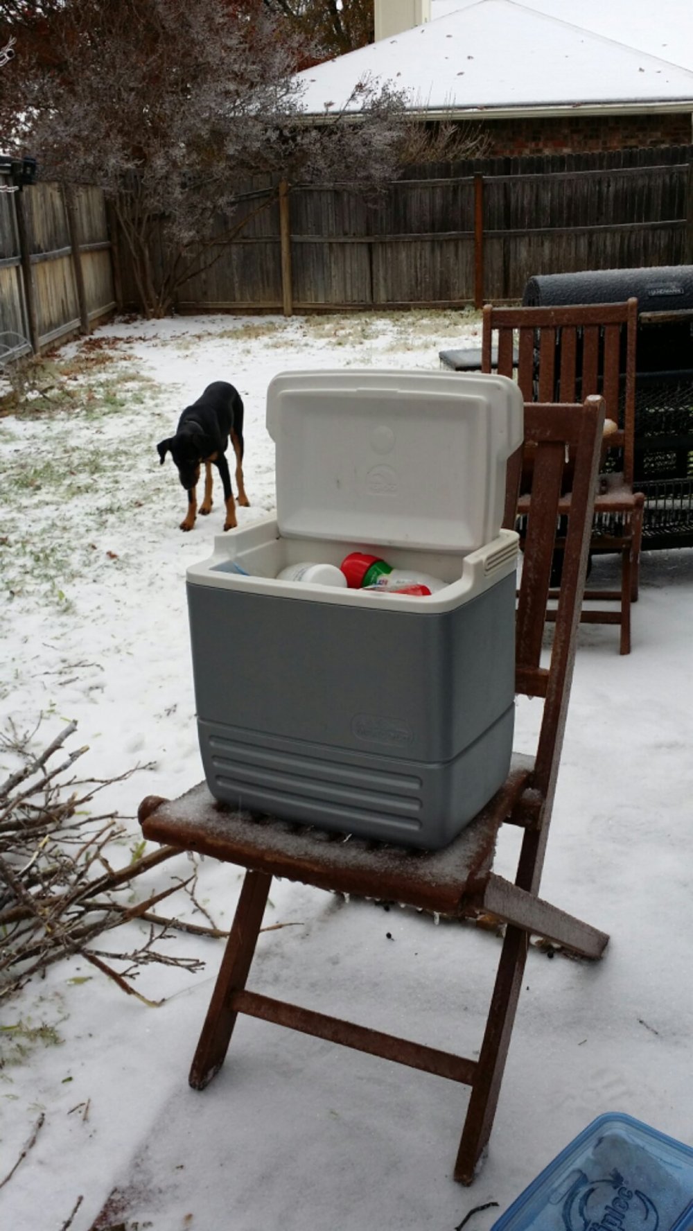 20131206_090908.jpg image