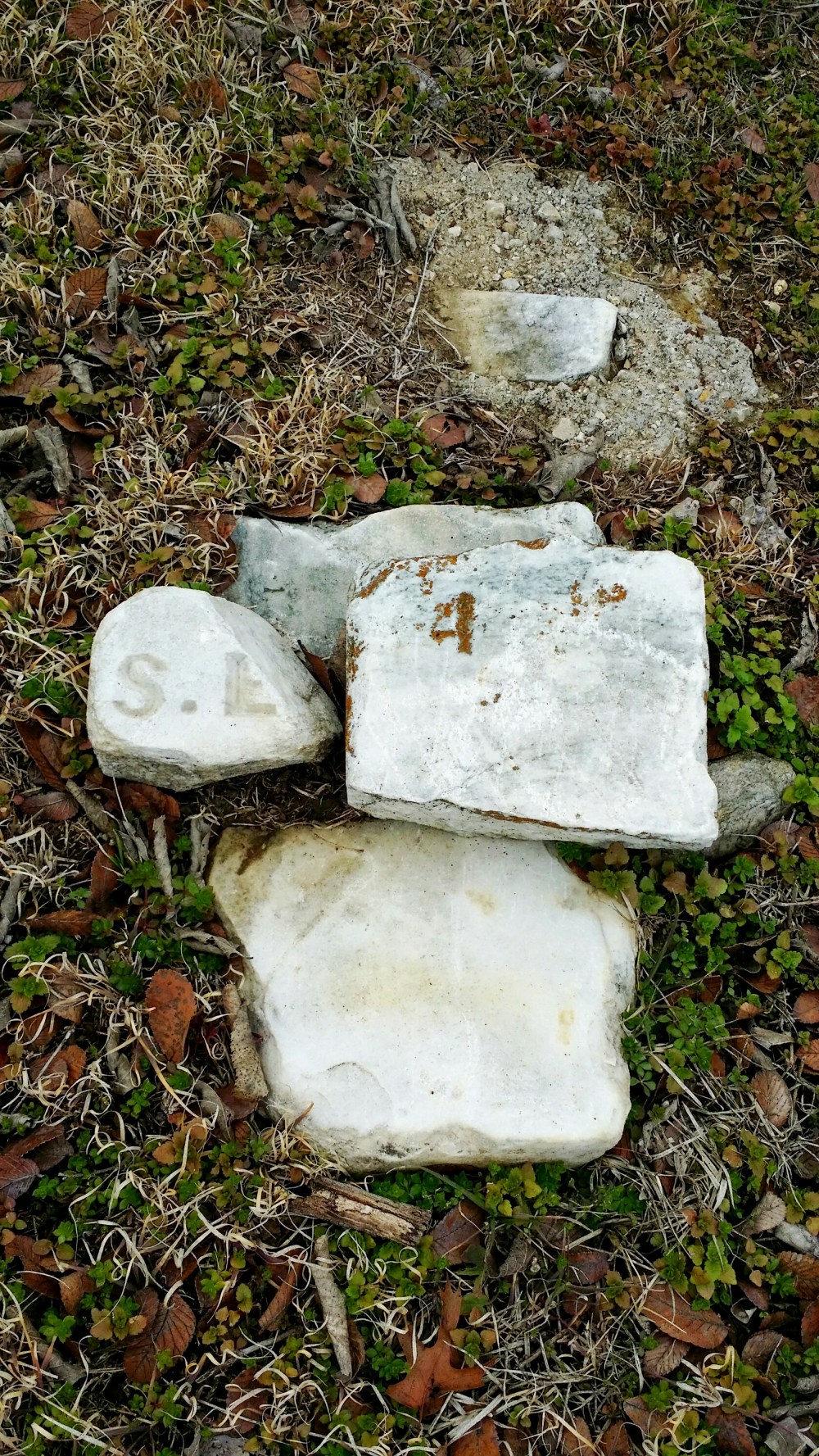 IMG_20150209_202254.jpg image