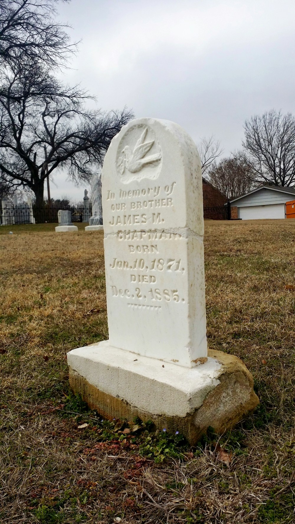 IMG_20150209_202924.jpg image