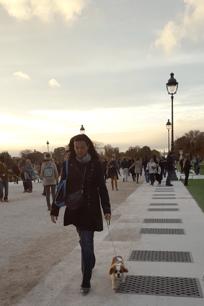 Last walk of the day. 